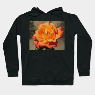 Orange Queen Hoodie